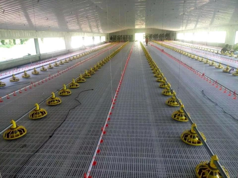 poultry house construction بناء دار الدواجن