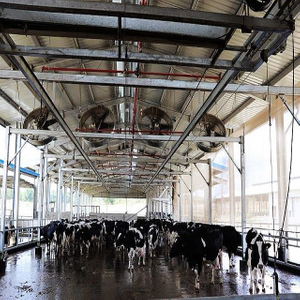 Livestock Farming Light Prefabricated Agricultural steel building