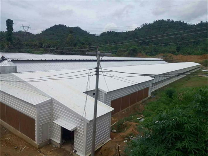 Philippines——Poultry House
