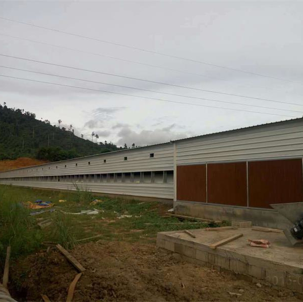 Economical Solution Steel Poultry Chicken House with Full Automatic Equipments