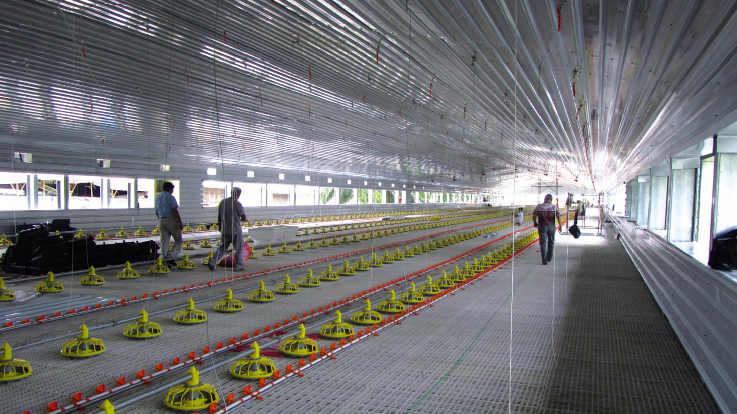 steel barn construction بناء الحظيرة الصلب