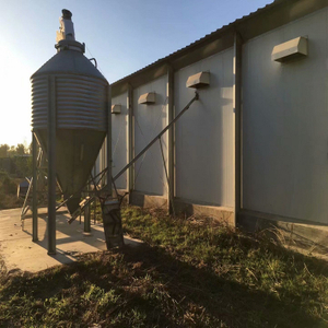 Real Estate Commercial Prefab Steel Shedstructure Building Chicken House