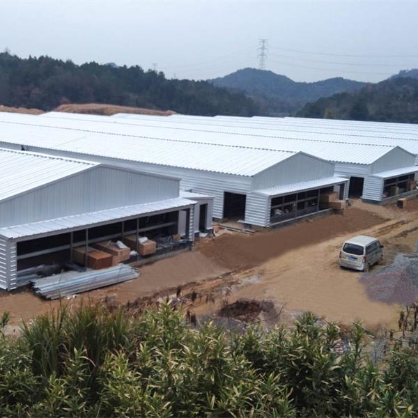 Prefab Metal Barn Poultry House Building Construction Chicken Shed Manufacturer